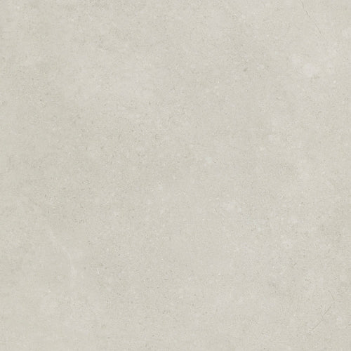 Carrelage de terrasse - gris 59,5 x 59,5 x 2 cm