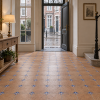 Belgische inkomhal met terracottakleurige keramische vloertegels van 22,5 × 22,5 cm en blauwe hoekmotieven