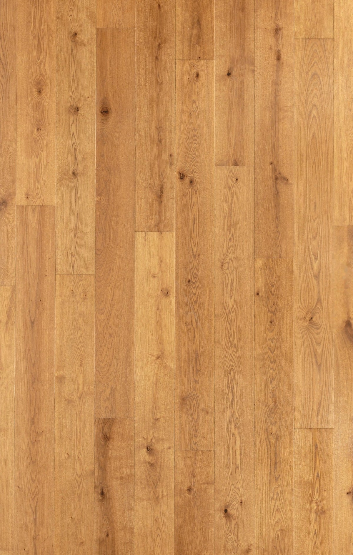 Parket Parquet en chêne | CLASSIC - Verona - Vernis UV