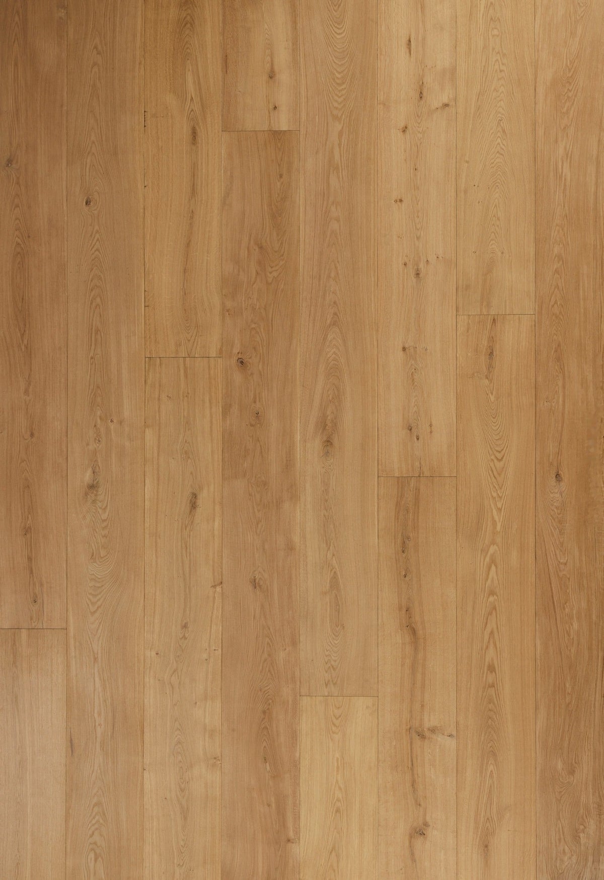 Parquet en chêne | CLASSIC B - Naturel - Huile UV - XL Lame